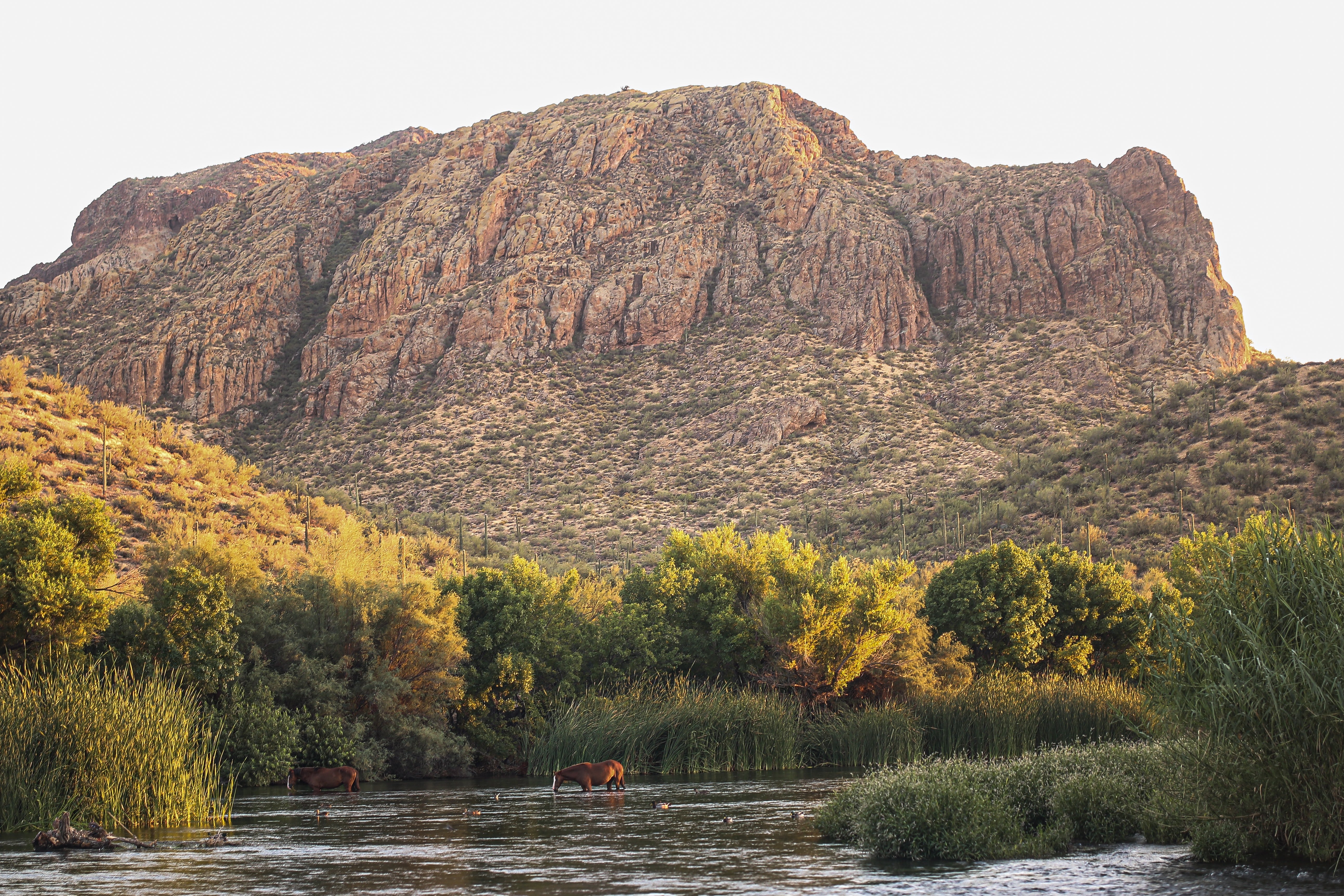 Image of Salt River