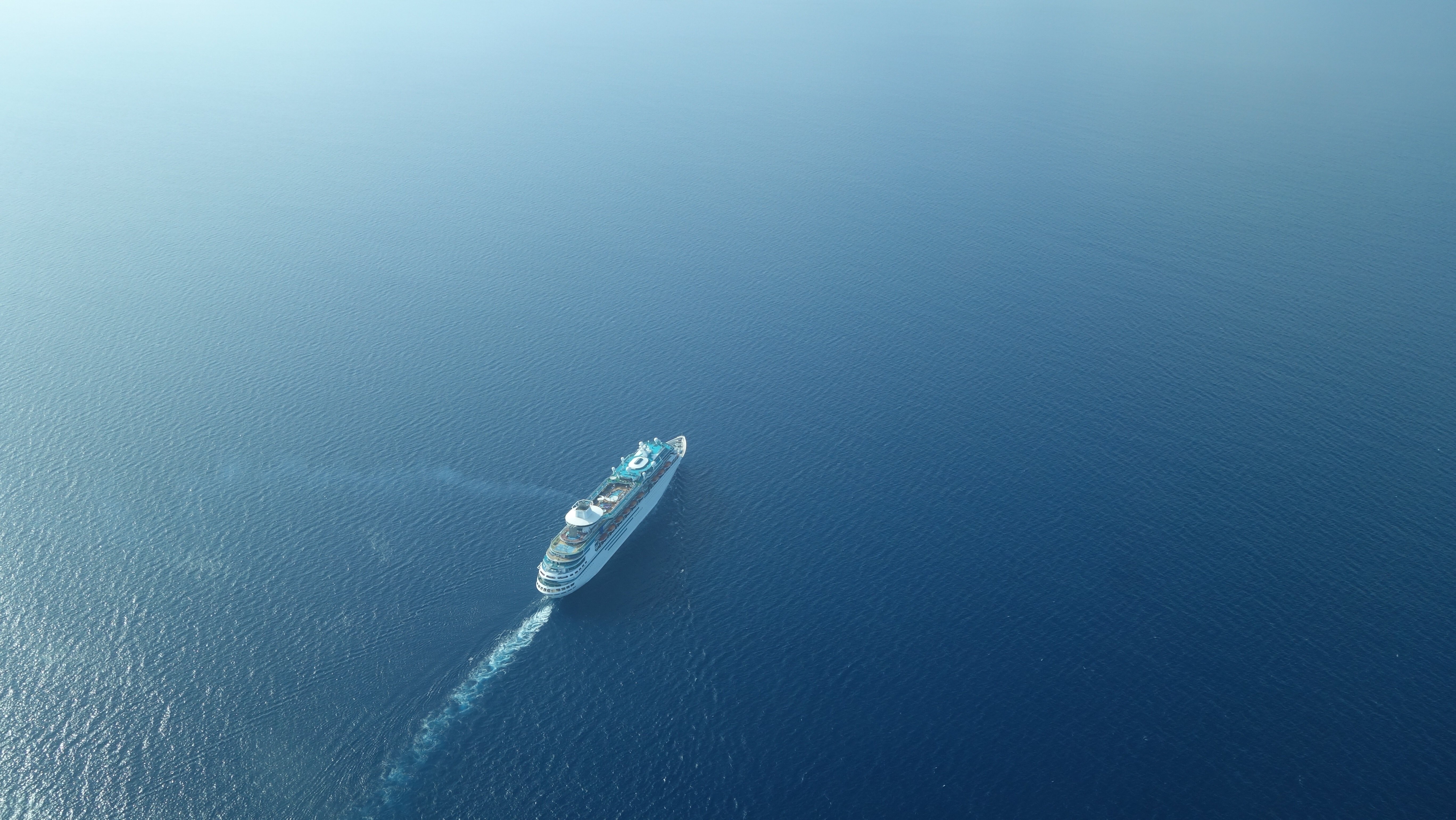 Vector image of a cruise ship
