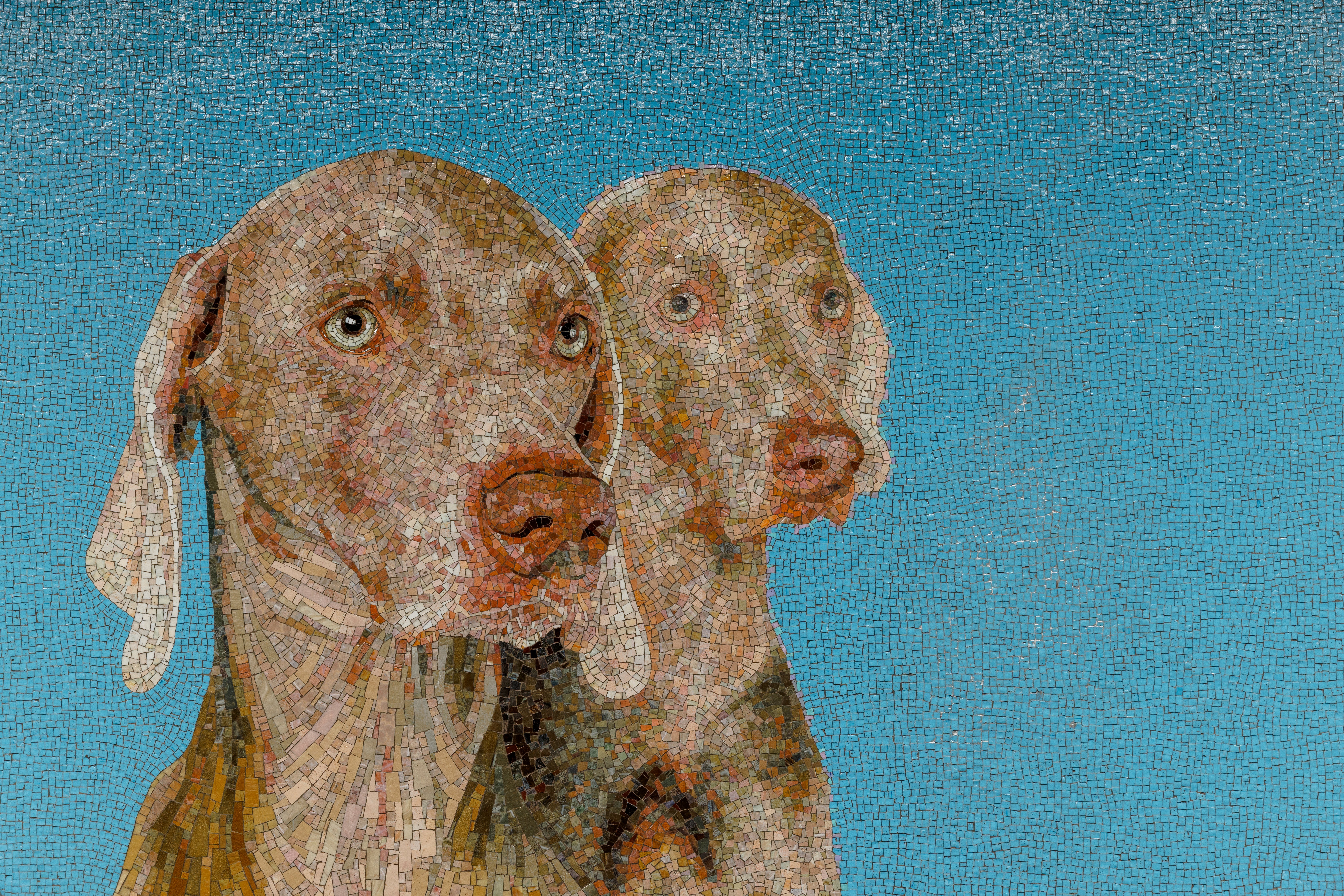 Image of William Wegman's dog mosaics at 23rd Street Station