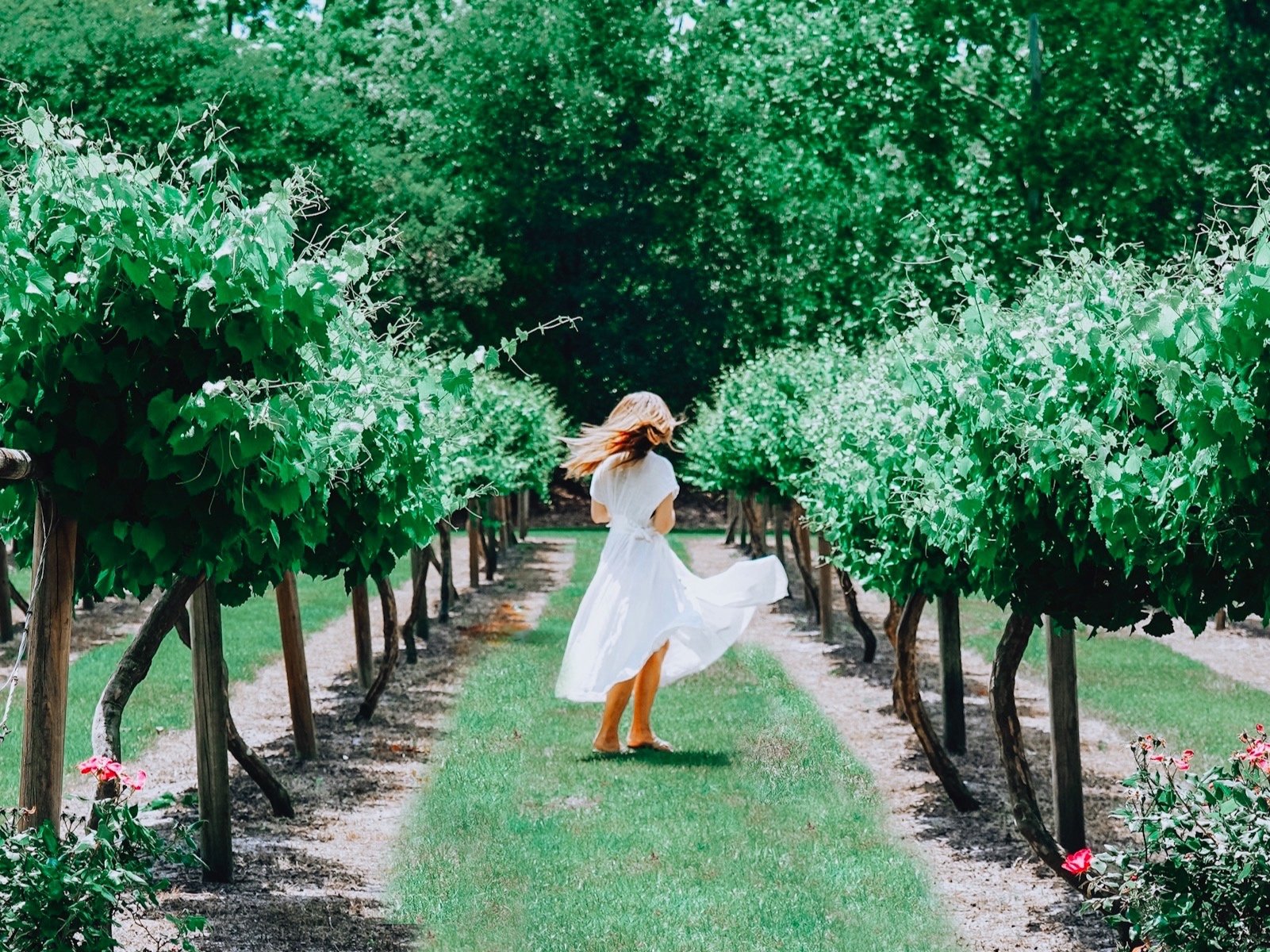 Image of a woman in a vineyard