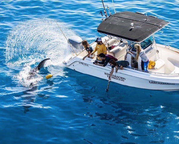 Image of a boat trip