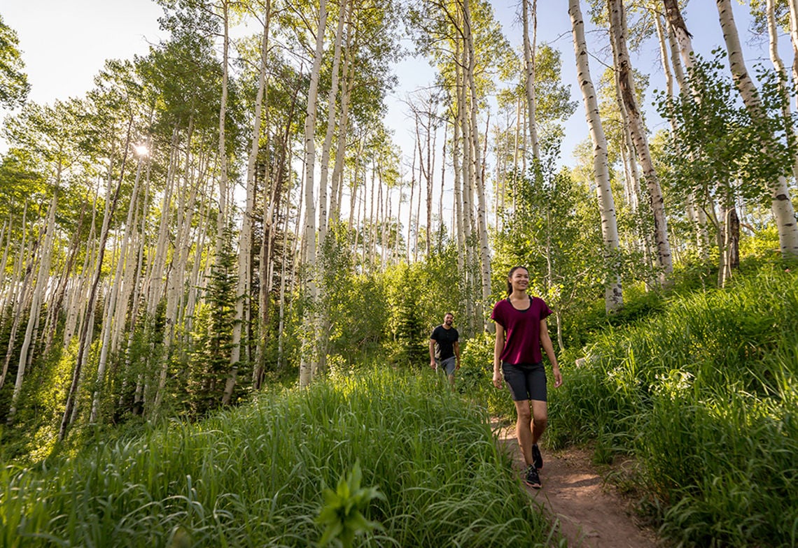 Image of people hiking a forest trail