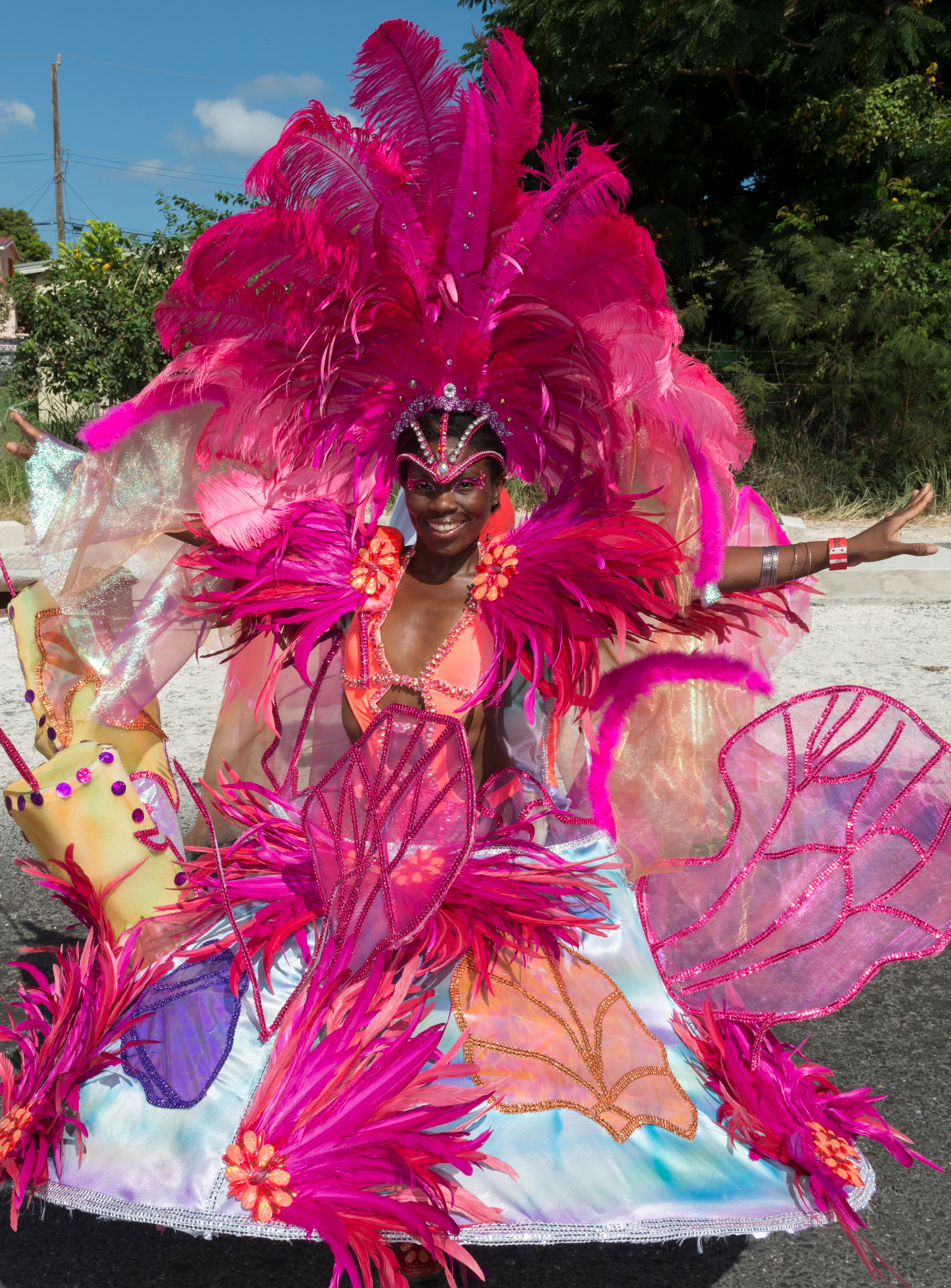 Image of Crop Over Festival