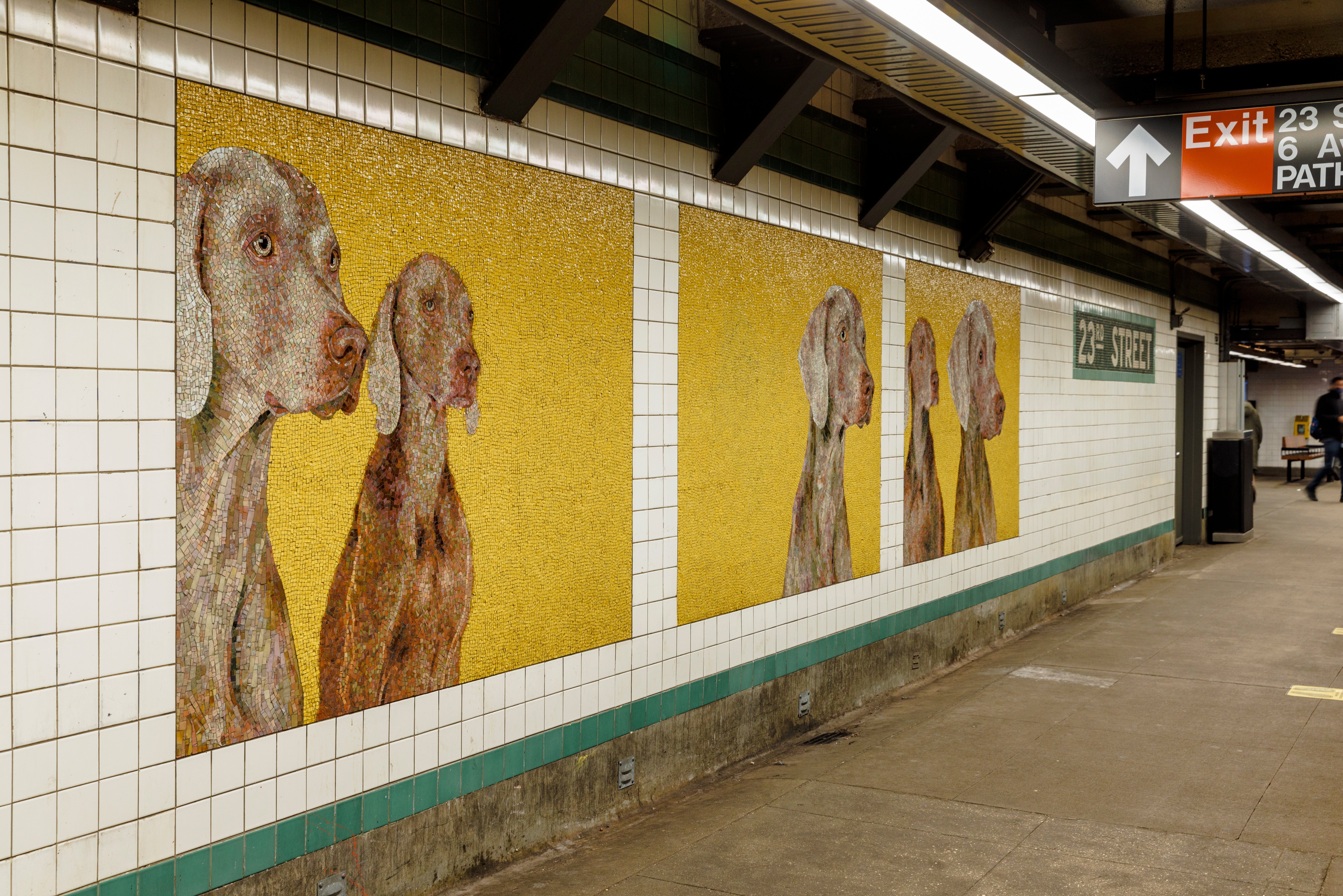 Image of William Wegman's dog mosaics at 23rd Street Station