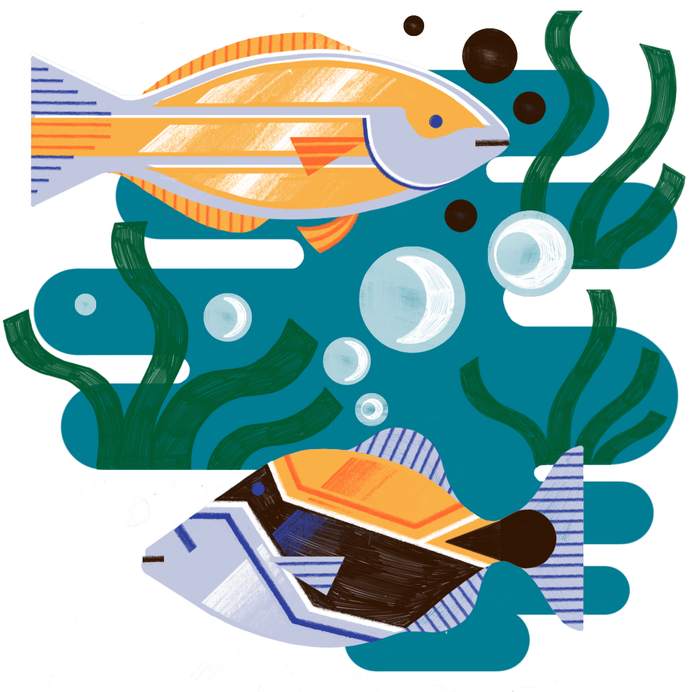 Vector image of colorful fish