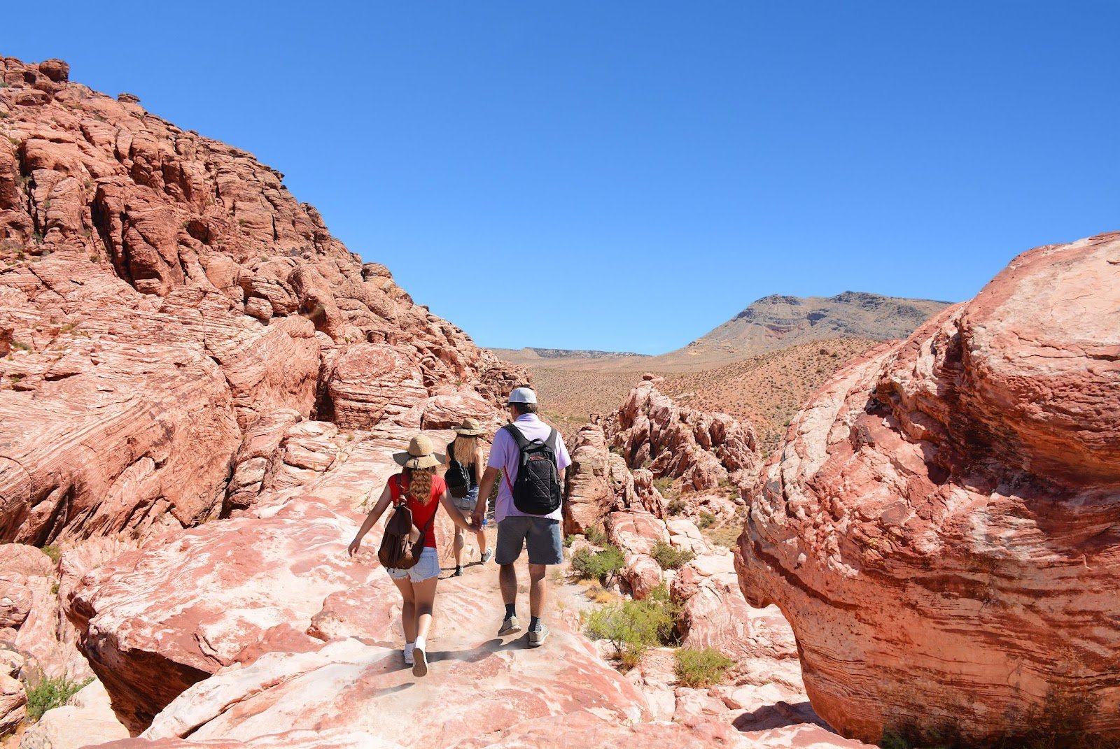 Image of the Red Rock Canyon